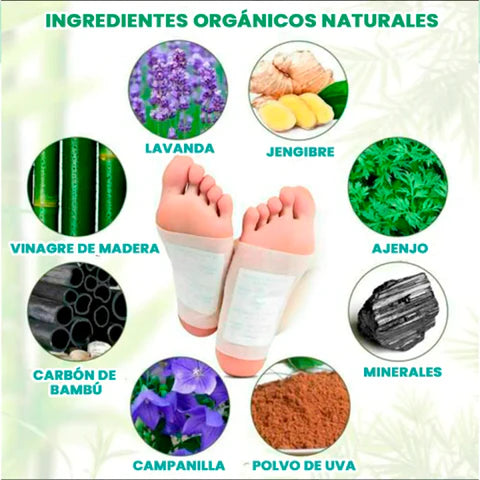KINOKI 2 Parches Desintoxicantes para Pies Y Cuerpo - TAINO®