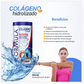 Colágeno Hidrolizado Arandanos Flor de Jamaica Magnesio Fresa Fórmula V 1.1 kg