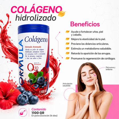 Colágeno hidrolizado arandanos flor de jamaica magnesio fresa fórmula V 1.1 kg